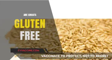 Are Groats Gluten-Free? Uncovering the Truth for a Healthy Diet