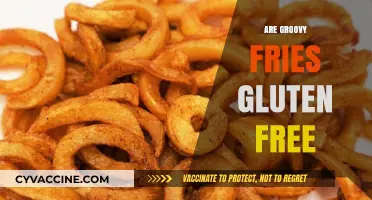 Are Groovy Fries Gluten-Free? A Crunchy, Safe Snack Guide