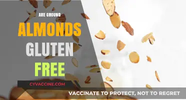 Are Ground Almonds Gluten Free? A Nutty Dietary Guide