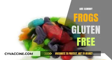 Are Gummy Frogs Gluten-Free? A Sweet Snack Fact Check