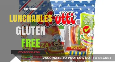 Are Gummy Lunchables Gluten-Free? A Complete Guide for Snackers