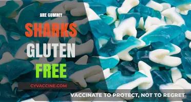 Are Gummy Sharks Gluten-Free? A Sweet Snack Fact Check