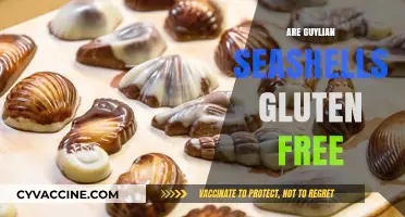 Are Guylian Seashells Gluten-Free? A Sweet Treat Analysis