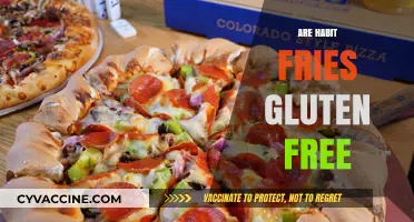 Are Habit Fries Gluten-Free? A Complete Guide for Celiac Diners