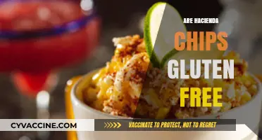 Are Hacienda Chips Gluten-Free? A Crunchy Snack Fact Check
