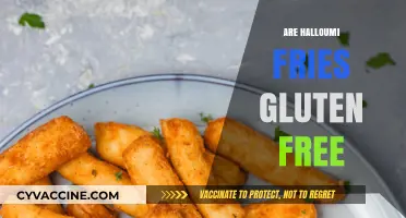 Are Halloumi Fries Gluten-Free? A Tasty Snack Guide