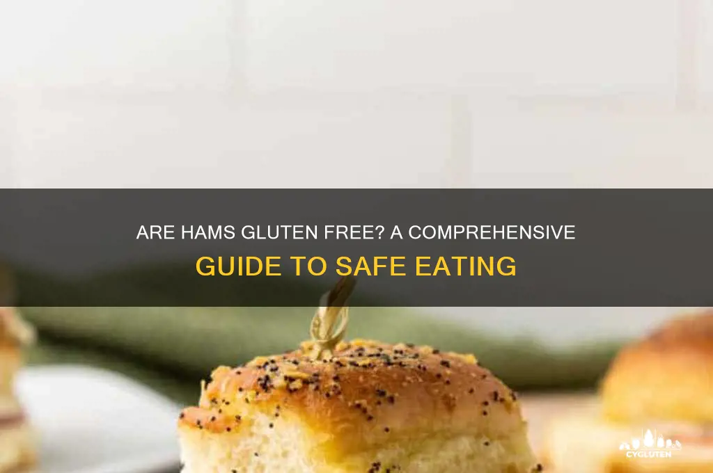 are hams gluten free