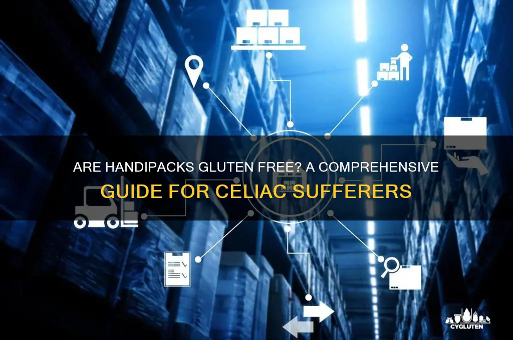 are handipacks gluten free