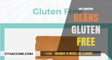 Are Hanover Beans Gluten-Free? A Comprehensive Guide for Celiacs