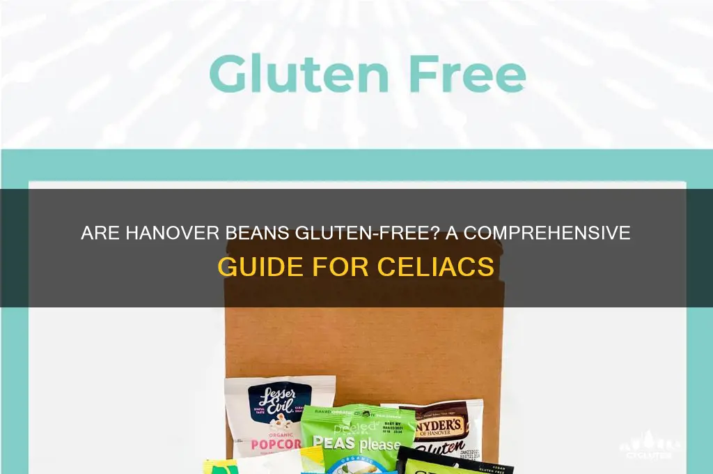 are hanover beans gluten free