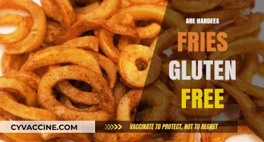 Are Hardee's Fries Gluten-Free? A Complete Guide for Celiac Diners