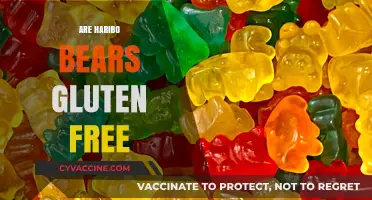 Are Haribo Bears Gluten-Free? A Sweet Snack Fact Check