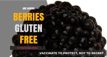 Are Haribo Berries Gluten-Free? A Sweet Snack Fact Check