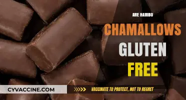 Are Haribo Chamallows Gluten-Free? A Sweet Snack Fact Check