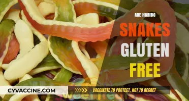 Are Haribo Snakes Gluten-Free? A Sweet Treat Investigation