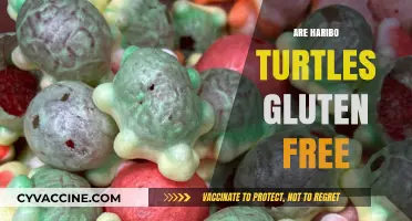 Are Haribo Turtles Gluten-Free? A Sweet Snack Fact Check