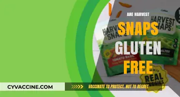 Are Harvest Snaps Gluten-Free? A Crunchy Snack Fact Check