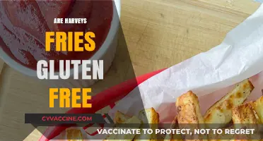 Are Harvey's Fries Gluten-Free? A Complete Guide for Celiac Diners