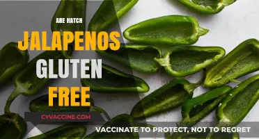 Are Hatch Jalapeños Gluten-Free? A Spicy Fact Check