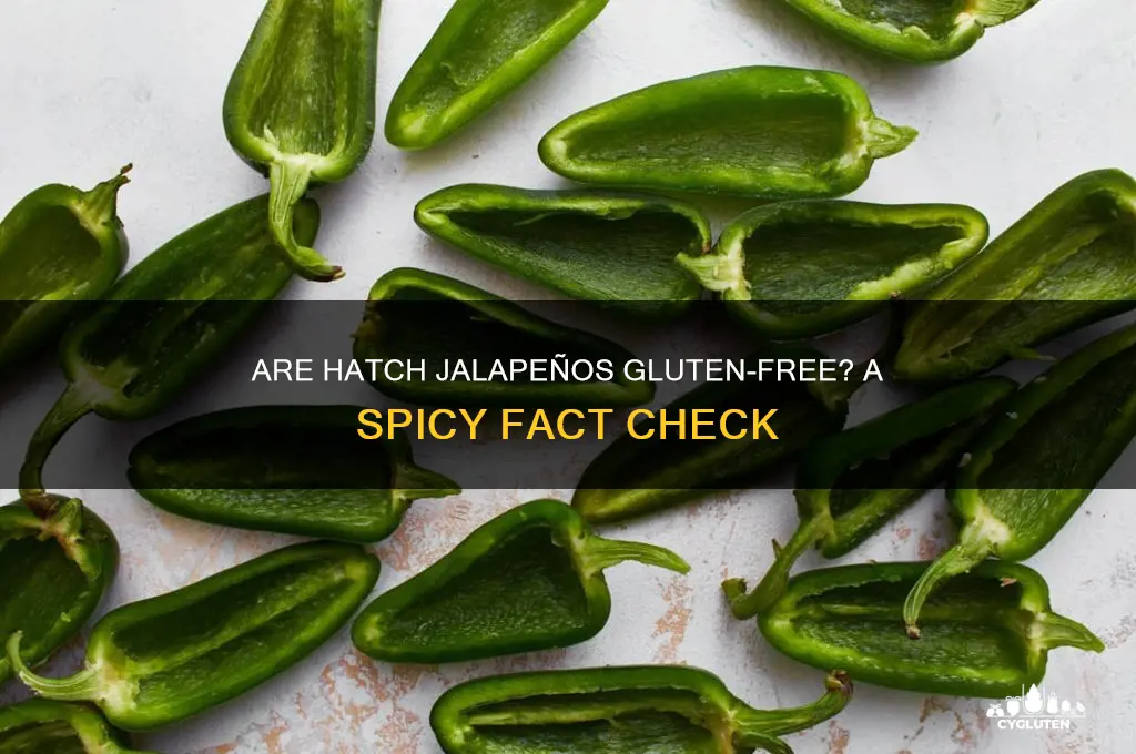 are hatch jalapenos gluten free