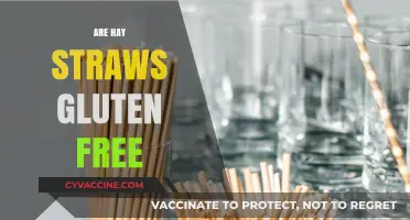 Are Hay Straws Gluten-Free? Unraveling the Truth for Celiac Sufferers