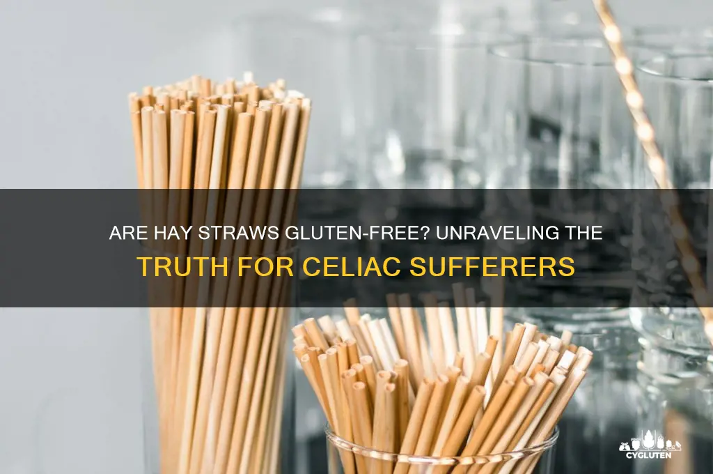 are hay straws gluten free