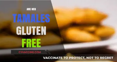 Are H-E-B Tamales Gluten-Free? A Complete Guide for Shoppers
