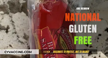 Are Hebrew National Products Gluten-Free? A Comprehensive Guide