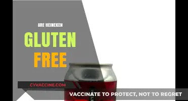 Is Heineken Gluten-Free? Exploring Beer Options for Celiac Diets