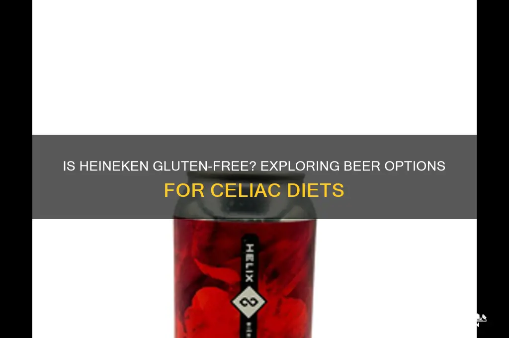 are heineken gluten free