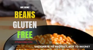 Are Heinz Beans Gluten-Free? A Complete Guide for Celiac Diets
