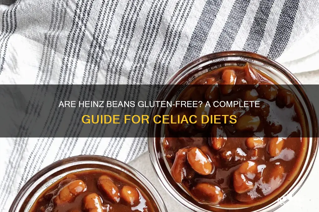 are heinz beans gluten free