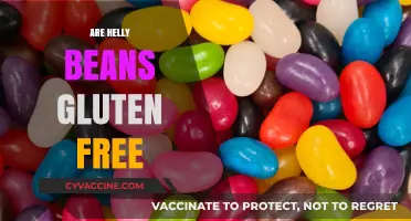 Are Helly Beans Gluten-Free? A Comprehensive Guide for Dietary Needs