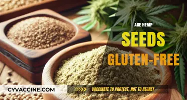 Are Hemp Seeds Gluten-Free? A Complete Nutritional Guide