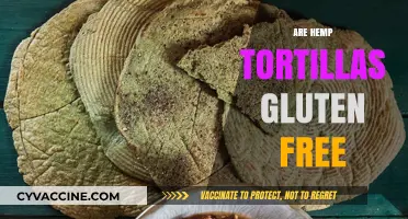 Hemp Tortillas: A Gluten-Free Alternative for Healthy Eating?