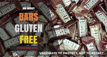 Are Hershey Bars Gluten-Free? A Sweet and Safe Snack Guide
