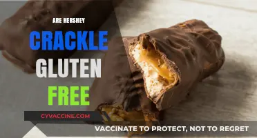 Are Hershey Crackle Gluten Free? A Complete Guide for Celiacs