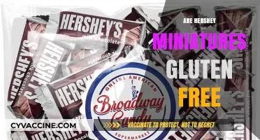 Are Hershey Miniatures Gluten-Free? A Sweet Snack Fact Check
