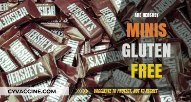 Are Hershey Minis Gluten-Free? A Sweet Snack Fact Check