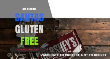 Are Hershey's Santa's Gluten-Free? A Holiday Treat Guide
