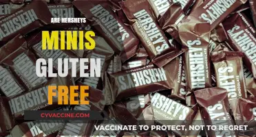 Are Hershey's Minis Gluten-Free? A Sweet Snack Fact Check