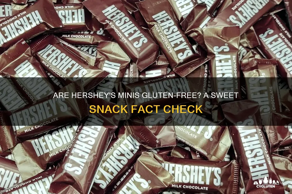 are hersheys minis gluten free