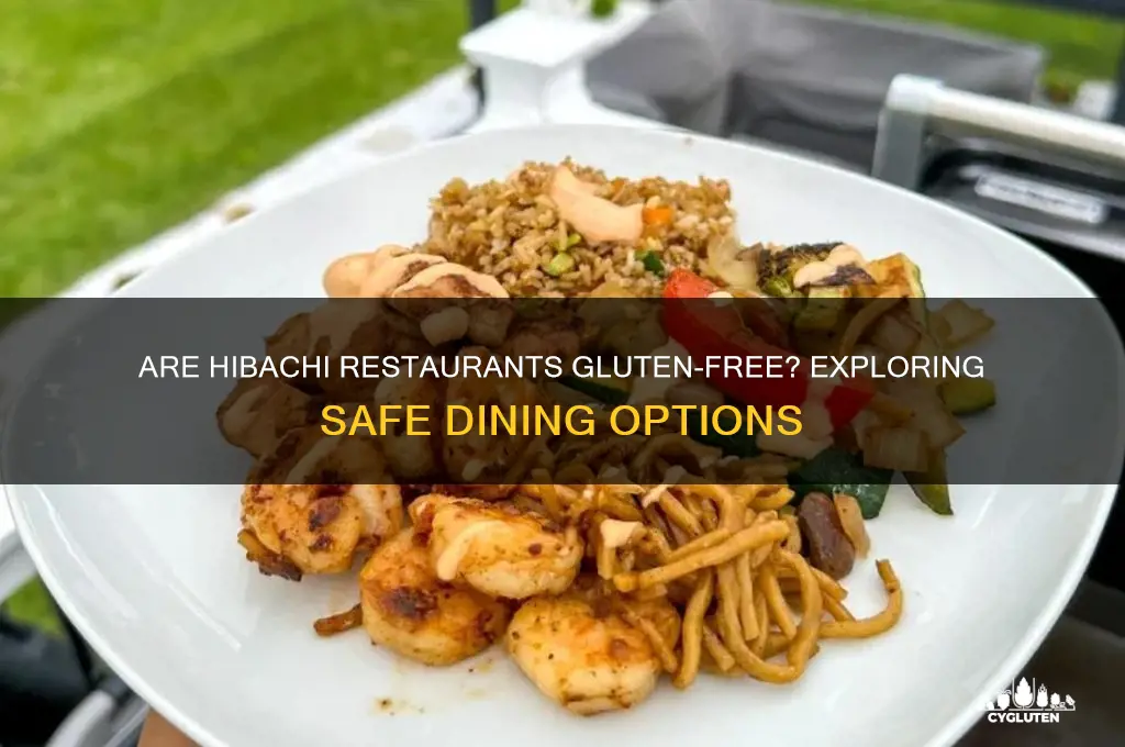 are hibachi restaurants gluten free