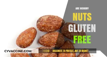 Are Hickory Nuts Gluten-Free? A Nutritional Guide for Celiacs