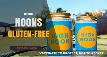 Are High Noons Gluten-Free? A Complete Guide to Your Favorite Drink