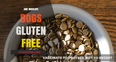 Highlife Dogs and Gluten: Unraveling the Dietary Truth