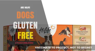 Are Hi-Life Dog Treats Gluten-Free? A Complete Guide for Pet Owners