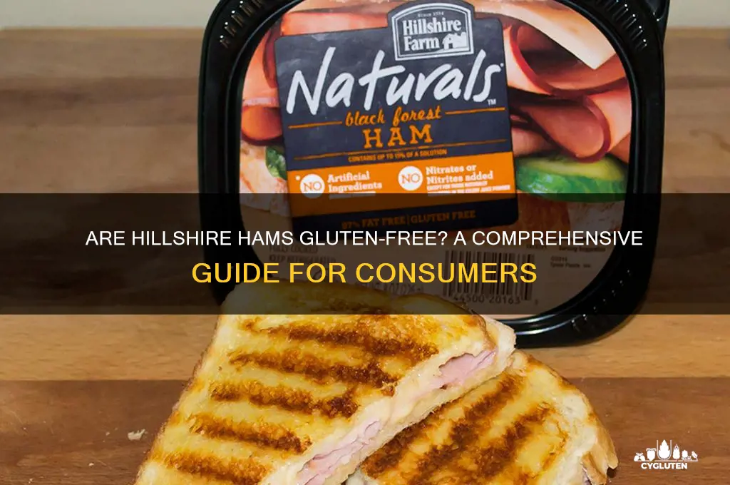 are hillshire hams gluten free