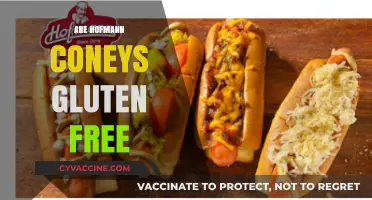 Are Hofmann Coneys Gluten-Free? A Complete Guide for Celiacs