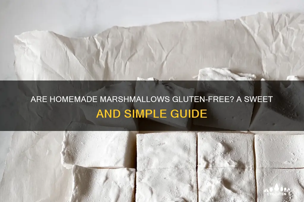 are homemade marshmallows gluten free